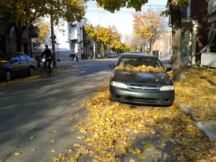 autumn-bike-ride-leaves - Mike-We Work for Cheese autumn-bike-ride-leaves