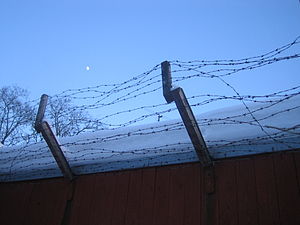 Barbed wire fence with snow.