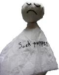 Sock_puppet Sock_puppet